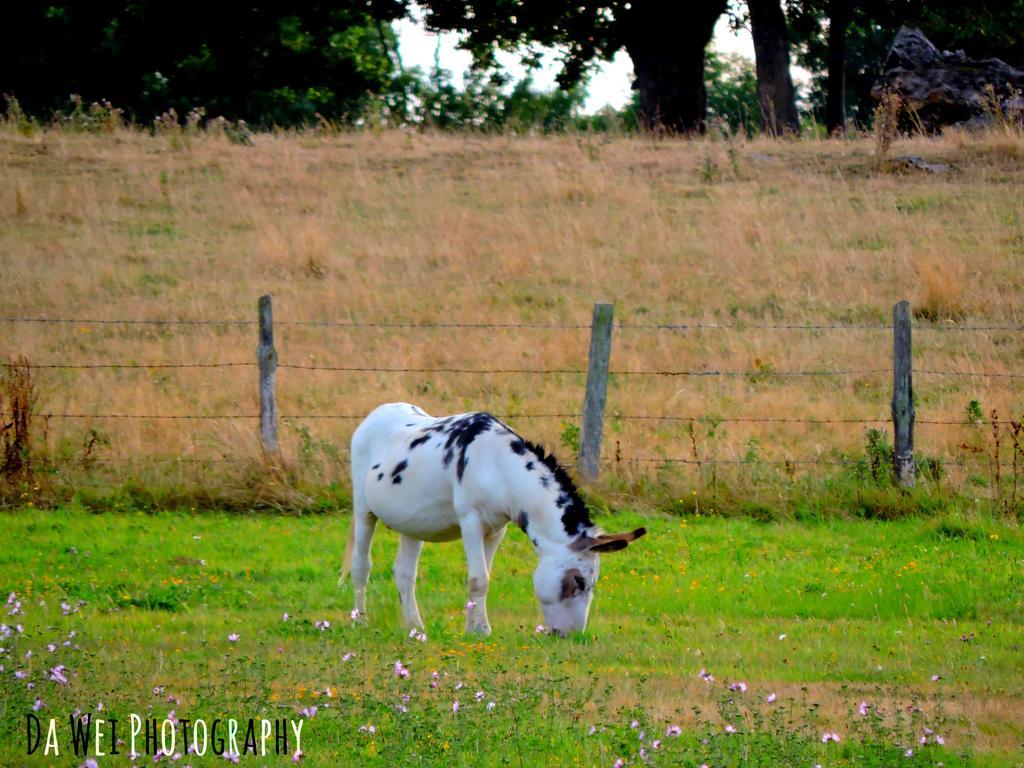 Gite Le Bourgneuf Fresnay-sur-Sarthe ภายนอก รูปภาพ
