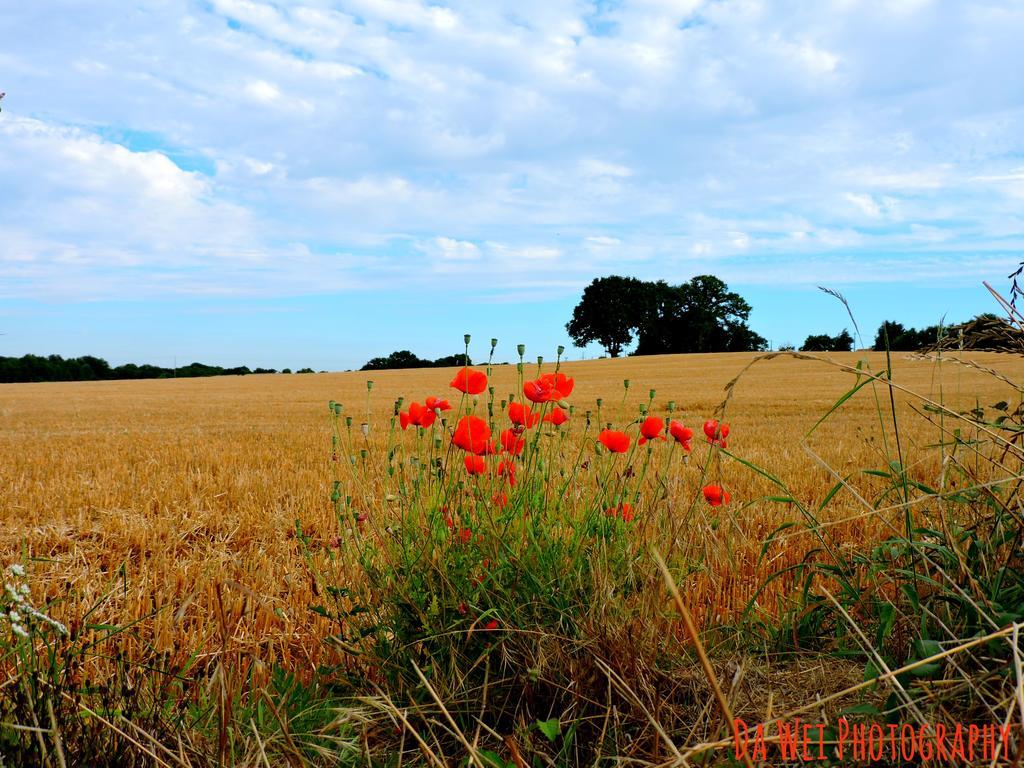 Gite Le Bourgneuf Fresnay-sur-Sarthe ภายนอก รูปภาพ