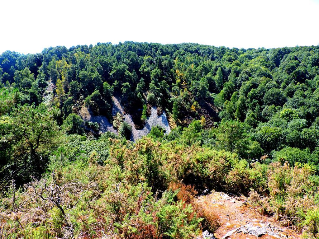 Gite Le Bourgneuf Fresnay-sur-Sarthe ภายนอก รูปภาพ